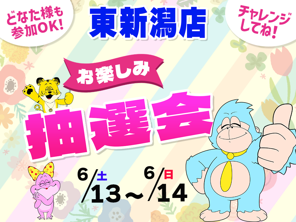 6月13日(土)～6月14日(日)東新潟店でスマホイベント開催！